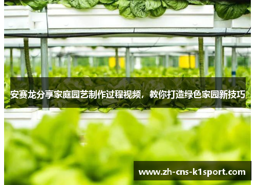 安赛龙分享家庭园艺制作过程视频，教你打造绿色家园新技巧