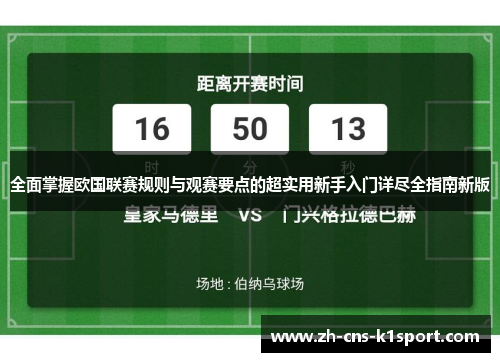 全面掌握欧国联赛规则与观赛要点的超实用新手入门详尽全指南新版