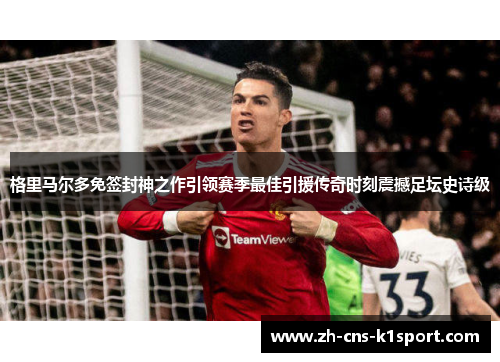 格里马尔多免签封神之作引领赛季最佳引援传奇时刻震撼足坛史诗级